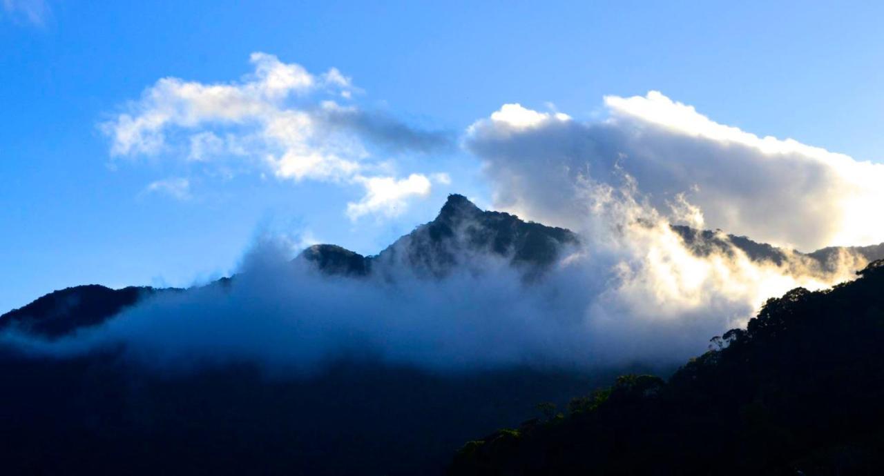 Casa Da Floresta Pico Da Aguia *