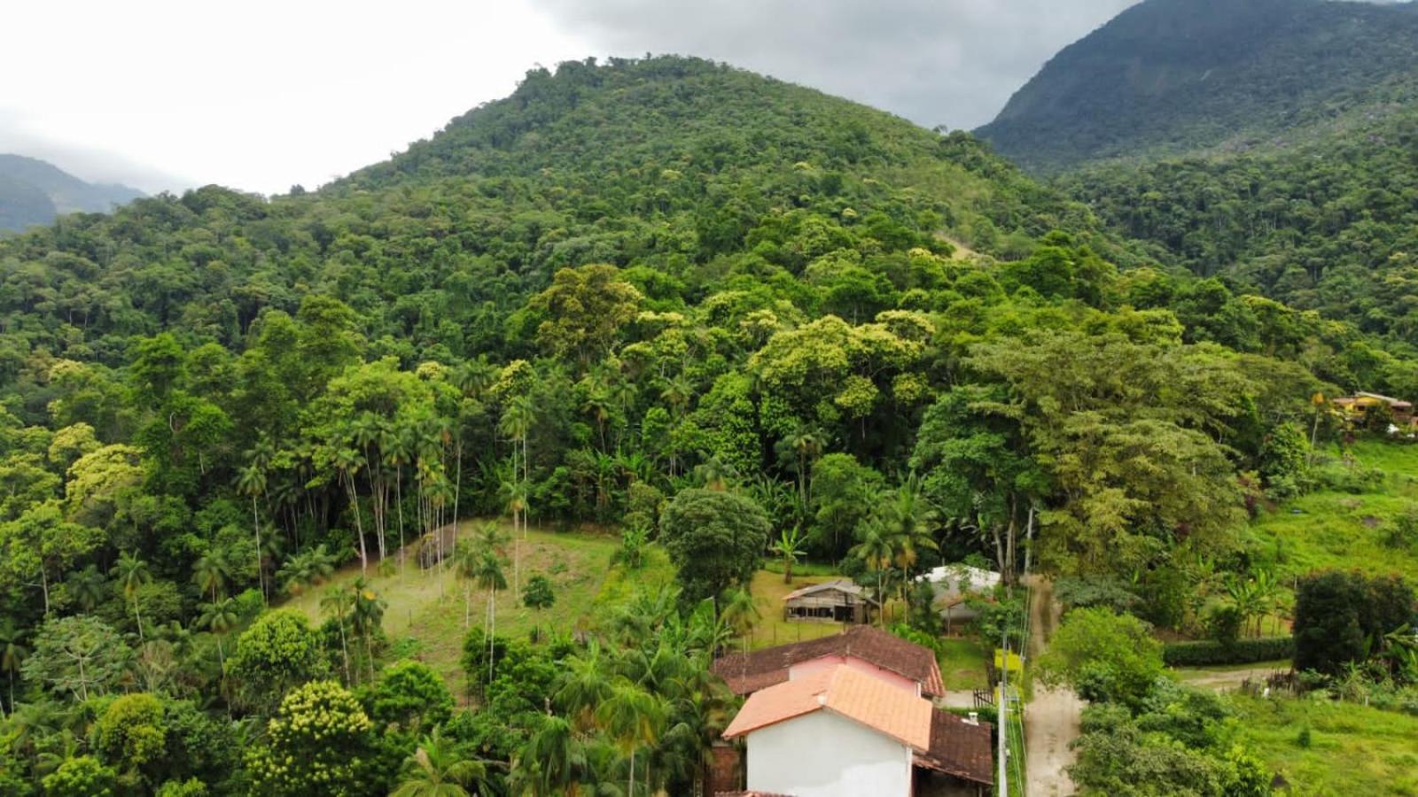 Casa Da Floresta Pico Da Aguia Paraty