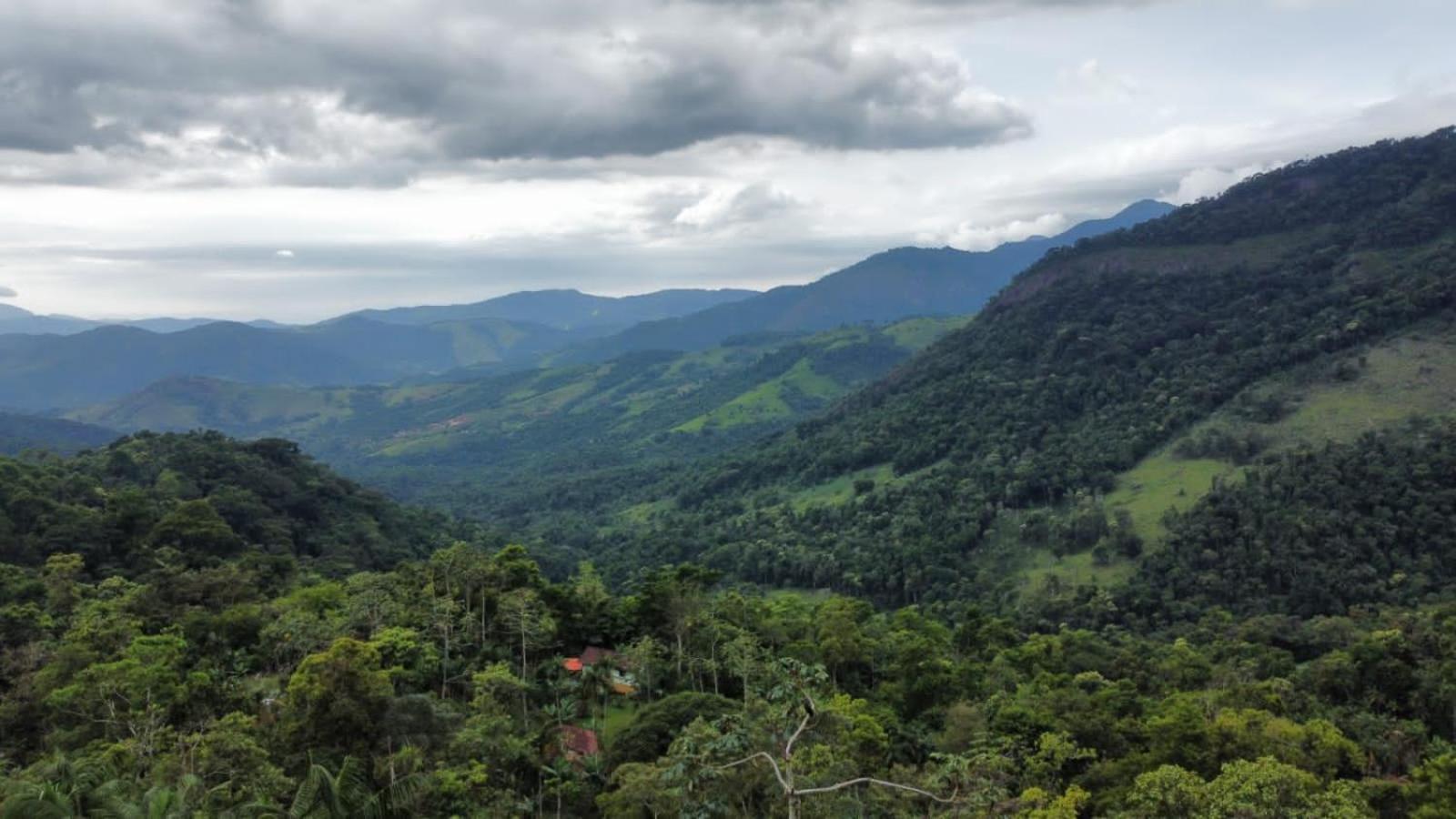 Casa Da Floresta Pico Da Aguia