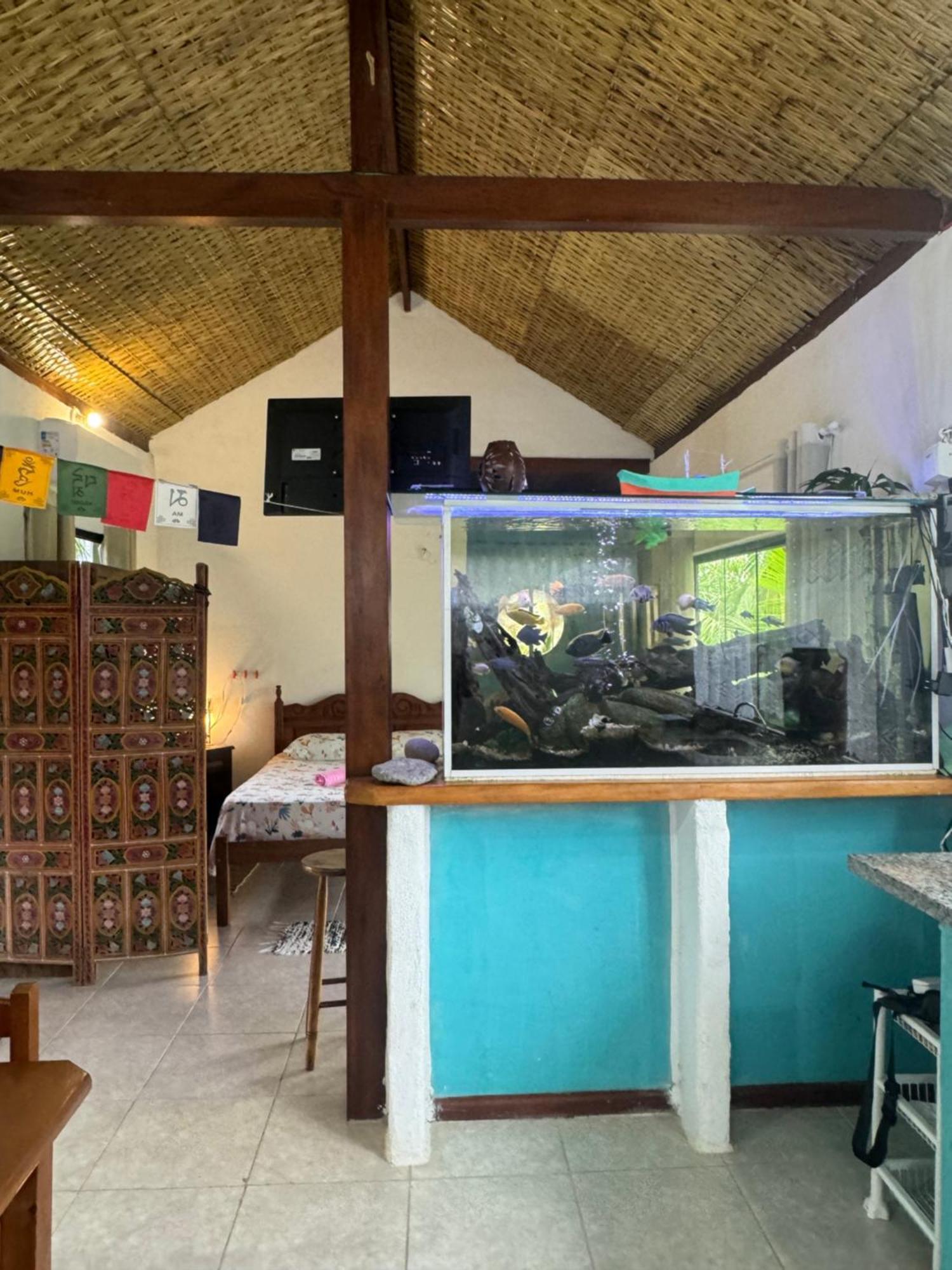 Casa Da Floresta Pico Da Aguia *