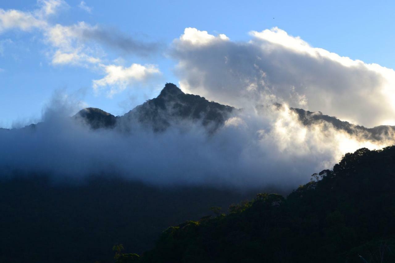 Casa Da Floresta Pico Da Aguia *