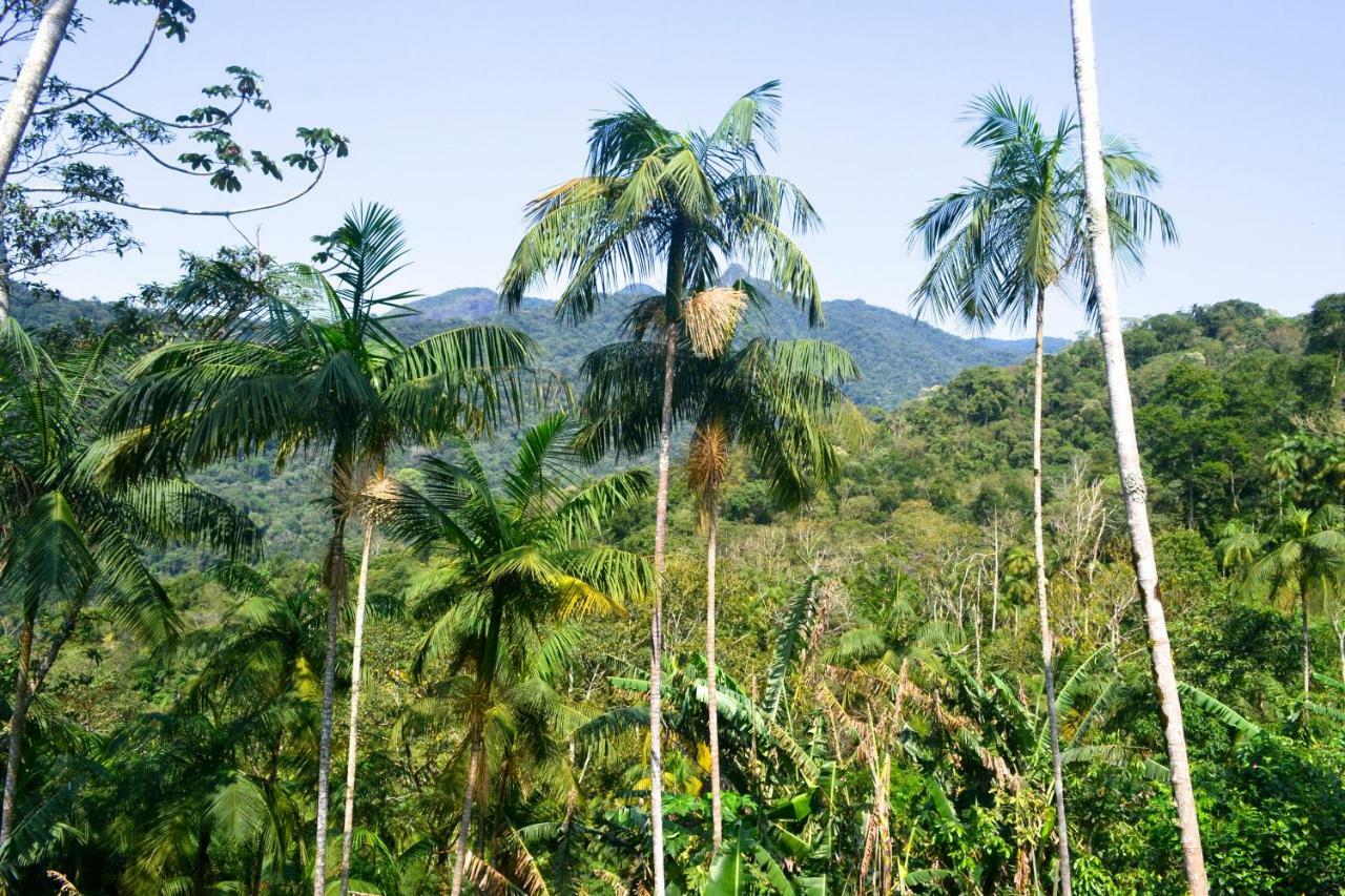Casa Da Floresta Pico Da Aguia *